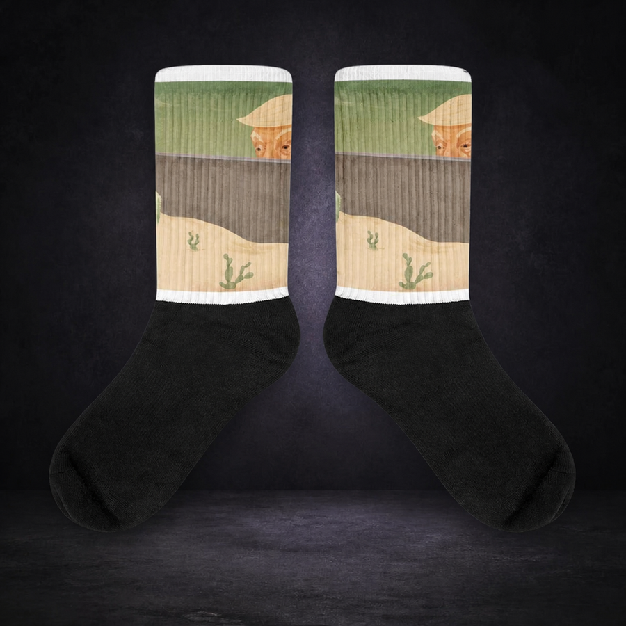 Trump Mexico Socken