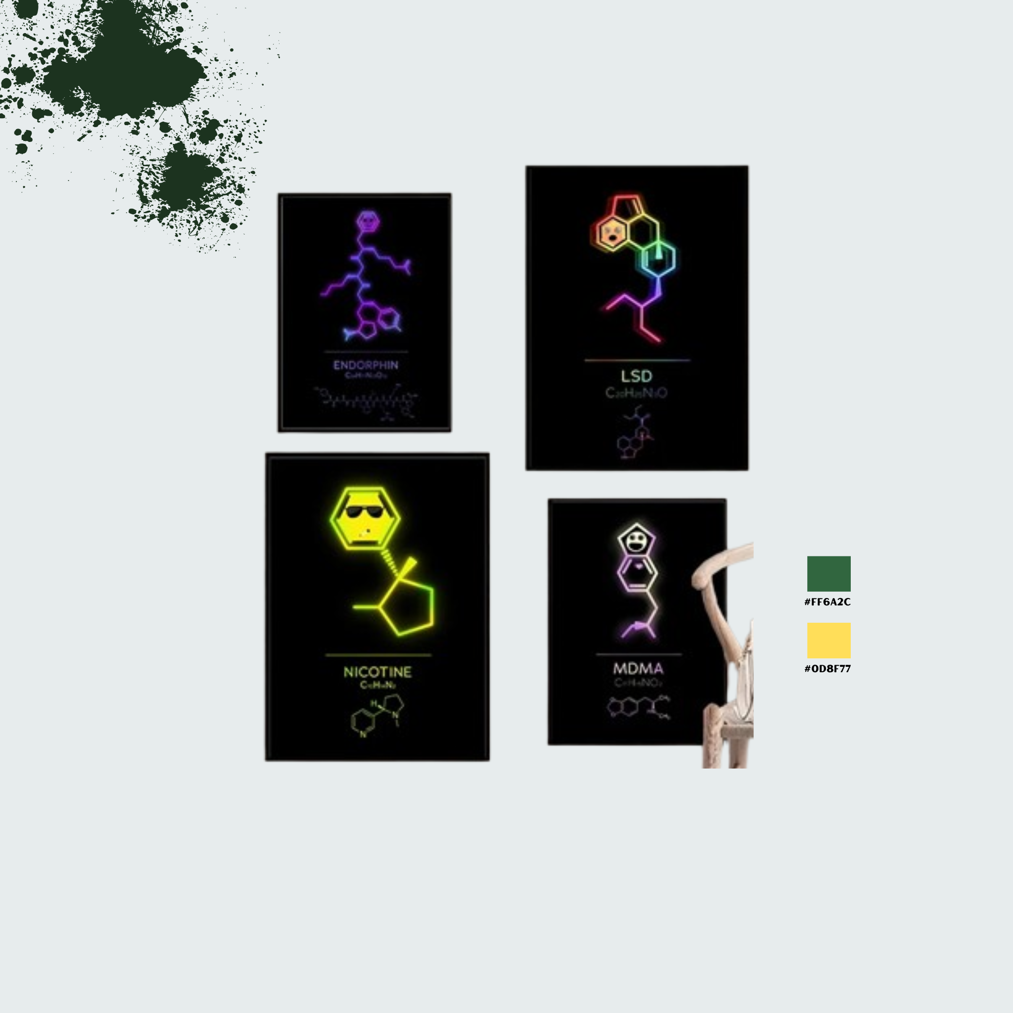 Streetwear-Trends und Home-Designs – die neuesten Looks von NiZED