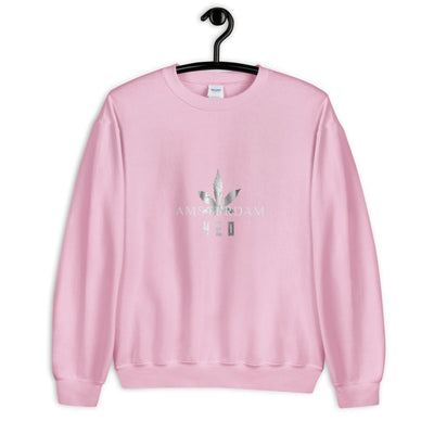 420 Amsterdam Sweater - Produktbild 9 - NiZED