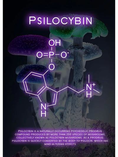 Neon Effect Poster - Produktbild 17 - NiZED