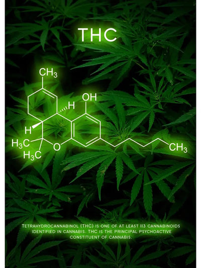 Neon Effect Poster - Produktbild 16 - NiZED