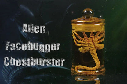 Xenomorph Larva Tank – Anime Alien Culture Vessel