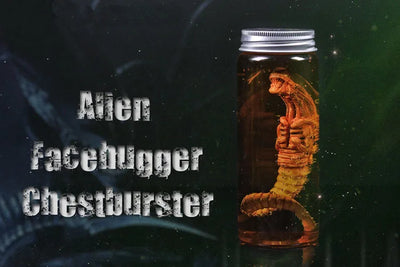 Xenomorph Larva Schwarzlichtposter - Produktbild 2 - NiZED