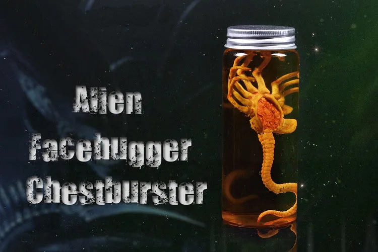 Xenomorph Larva Tank – Anime Alien Culture Vessel