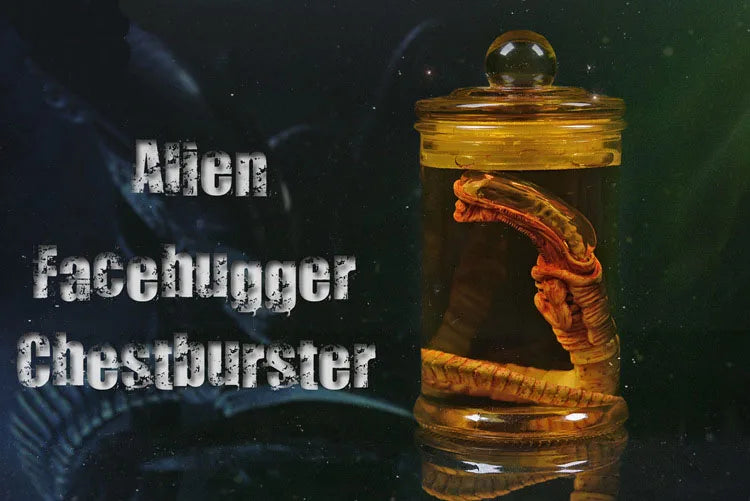 Xenomorph Larva Tank – Anime Alien Culture Vessel