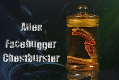 Xenomorph Larva Tank – Anime Alien Culture Vessel