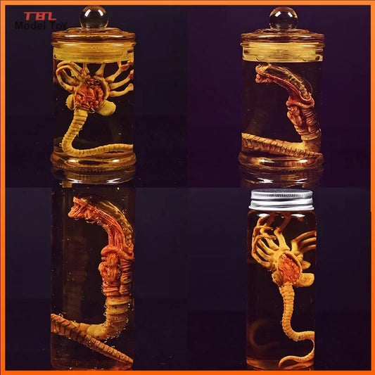 Xenomorph Larva Tank – Anime Alien Culture Vessel