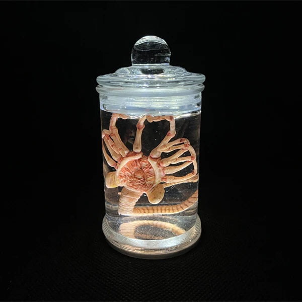 Alien Glow Jar – Xenomorph Embryo