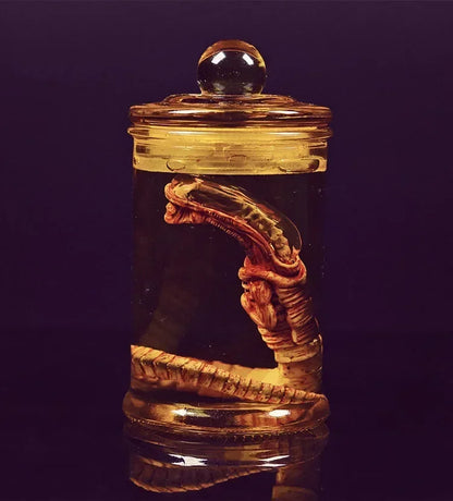 Xenomorph Larva Tank – Anime Alien Culture Vessel