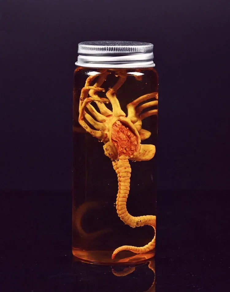 Xenomorph Larva Tank – Anime Alien Culture Vessel