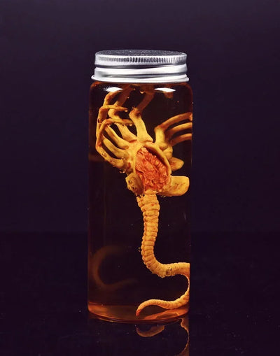 Xenomorph Larva Schwarzlichtposter - Produktbild 7 - NiZED