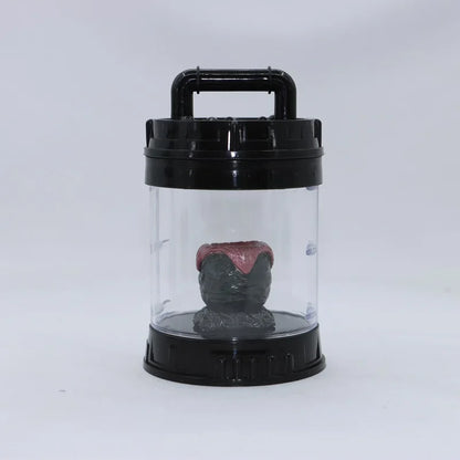 Xenomorph Egg Jar – 1/6 Scale