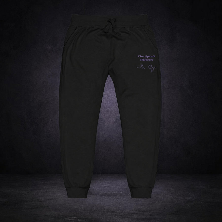 DMT The spirit molecule sweatpants