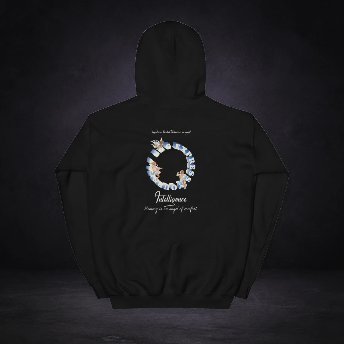 Fallen Angel Hoodie von NiZED, Rückansicht mit Designprint vor dunklem Betonhintergrund