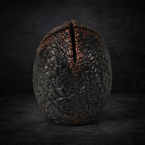 Xenomorph Nest – neutrales dunkles NiZED Kollektionscover