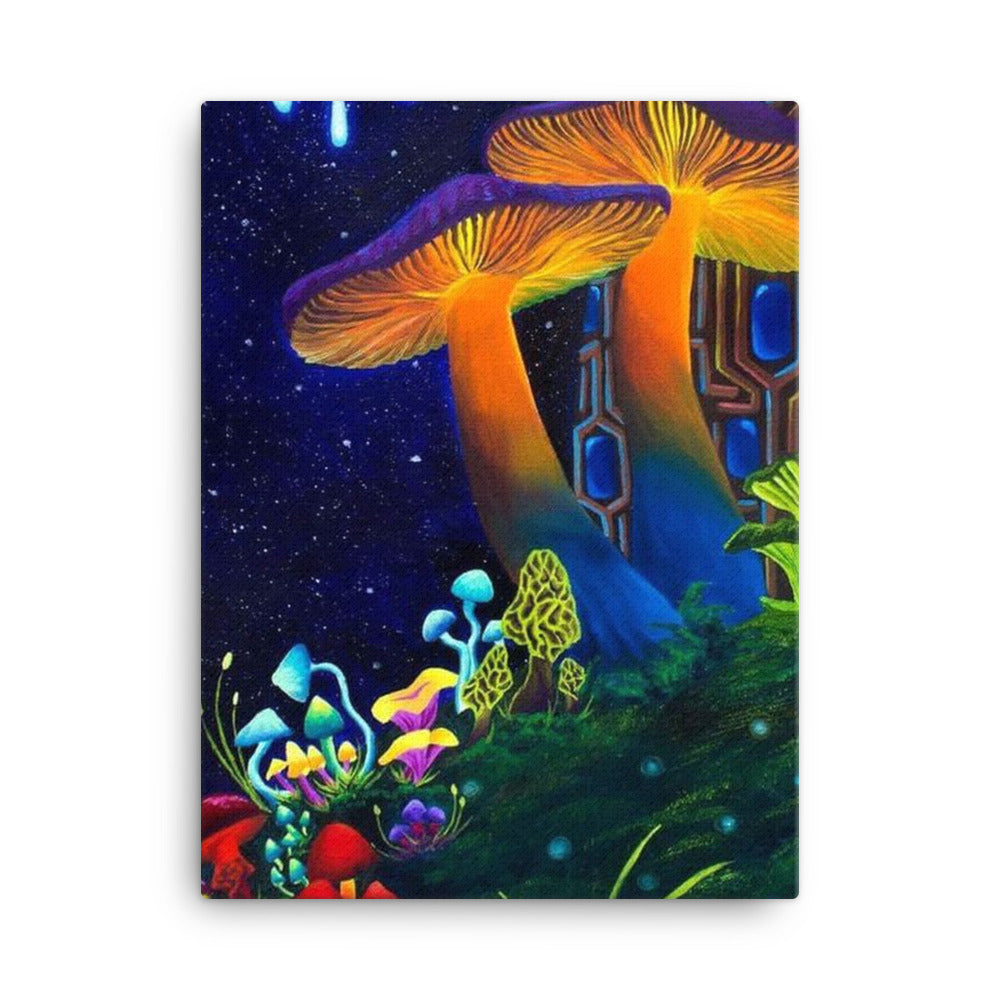 Shroom Land - Leinwand