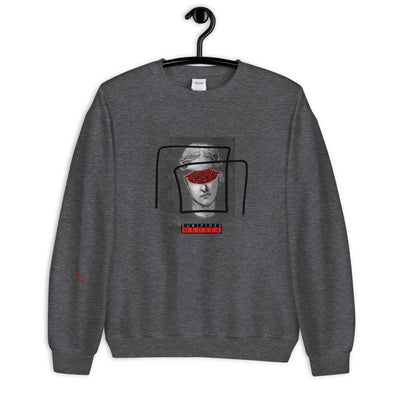Euripides Media Sweater - Produktbild 6 - NiZED