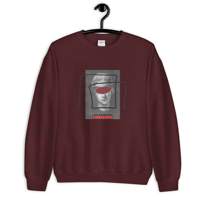 Euripides Media Sweater - Produktbild 2 - NiZED