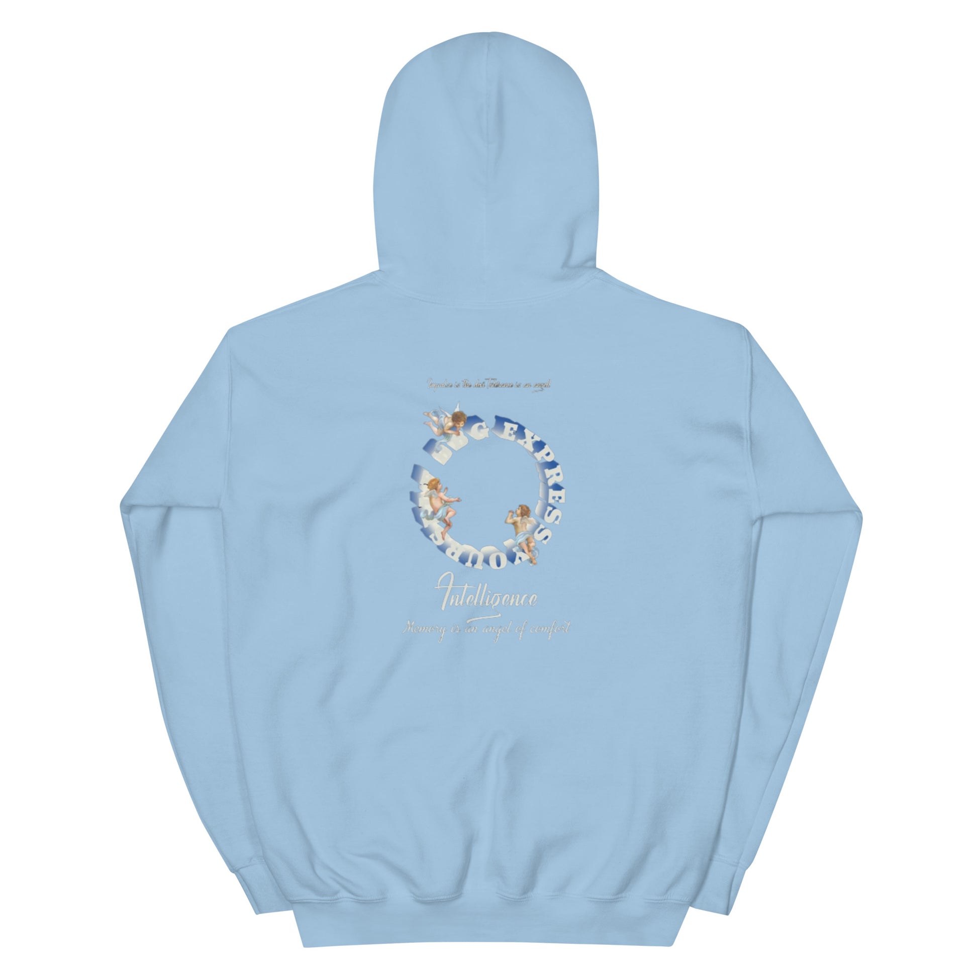 Fallen Angel Kapuzenpullover
